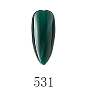 PROtechs Gel Polish CatsEye Collection #521-600